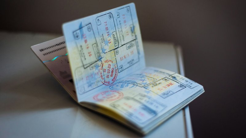 Learn what the Schengen biometric visa number is, where to find it on your Schengen visa, and why it matters for applications and travel.