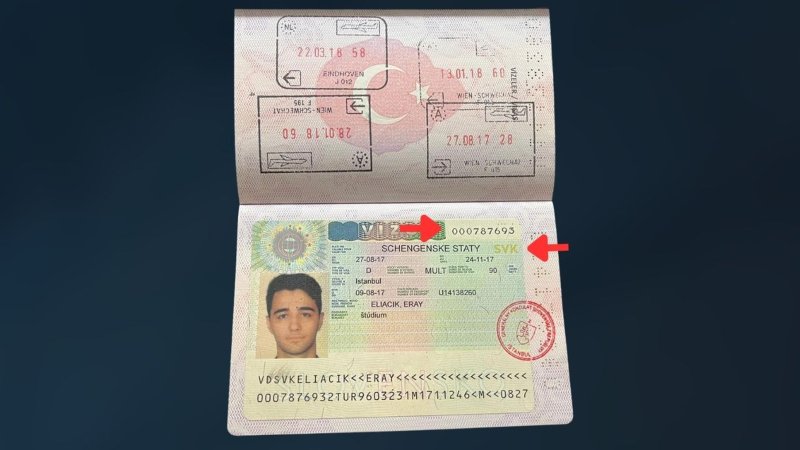 Learn what the Schengen biometric visa number is, where to find it on your Schengen visa, and why it matters for applications and travel.