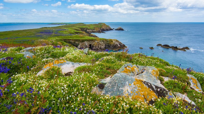 Apply for Ireland visit visa for tourism, business, or family visits. Complete guidance for short stay C visa applications.